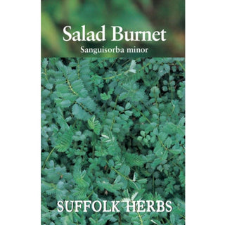 Suffolk Herbs Burnet Salad