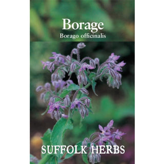 Suffolk Herbs Borage