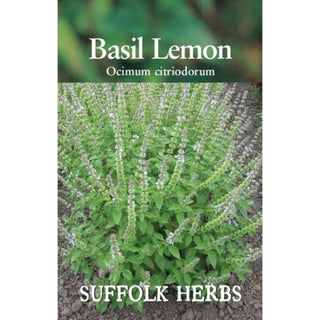 Suffolk Herbs Basil Lemon