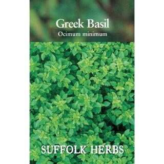 Suffolk Herbs Basil Greek