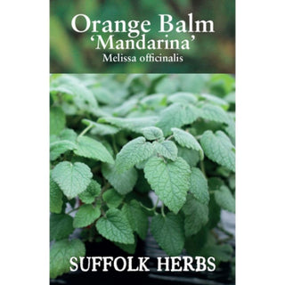 Suffolk Herbs Balm Orange Mandarina