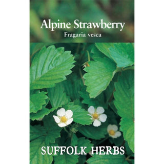 Suffolk Herbs Strawberry Alpine