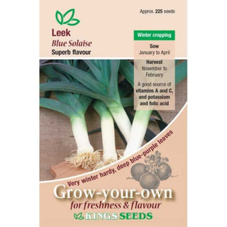Kings Seeds Leek Blue Solaise