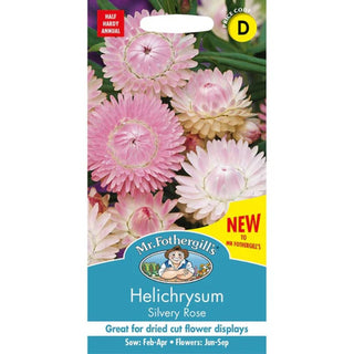 Mr Fothergills Helichrysum Silvery Rose