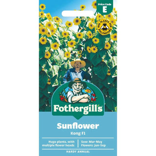 Mr Fothergills Sunflower Sun Kong