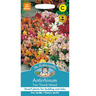 Mr Fothergills Antirrhinum Tom Thumb Mixed
