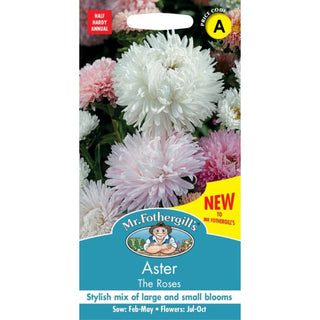 Mr Fothergills Aster The Roses