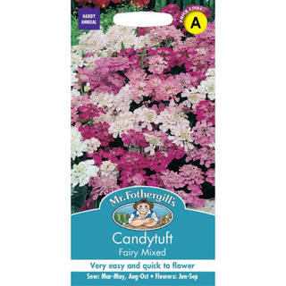 Mr Fothergills Candytuft Fairy Mixed