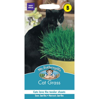 Mr Fothergills Cat Grass Avena Sativa