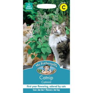 Mr Fothergills Catmint Catnip