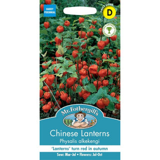 Mr Fothergills Chinese Lanterns Physalis Alkekengi