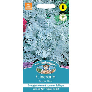 Mr Fothergills Cineraria Silver Dust