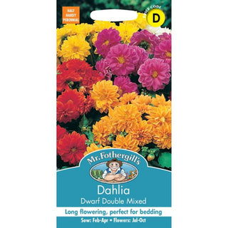 Mr Fothergills Dahlia Dwarf Double Mixed