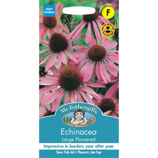 Mr Fothergills Echinacea Large Flowered