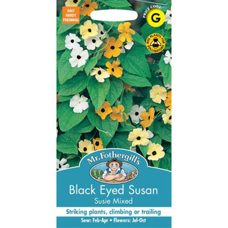 Mr Fothergills Black Eyed Susan Susie Mixed