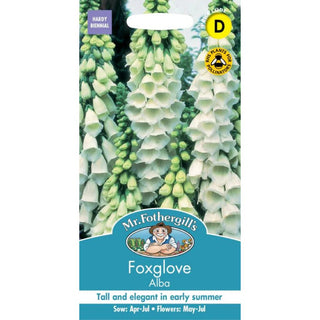 Mr Fothergills Foxglove Alba
