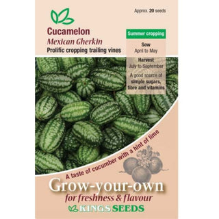 Kings Seeds Cucumber Cucamelon