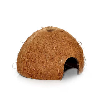Habistat Coconut Cave