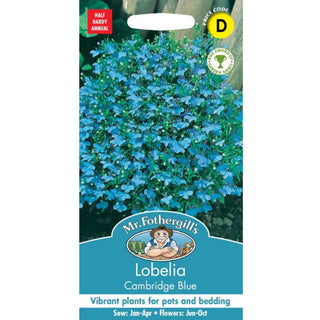 Mr Fothergills Lobelia Cambridge Blue