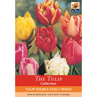 Tulip Double Early Mixed