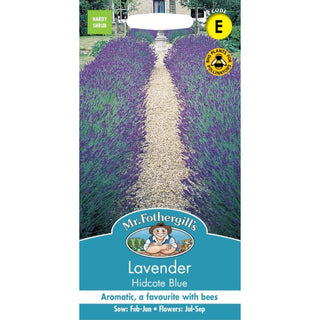 Mr Fothergills Lavender Hidcote Blue