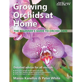 Growth Technology Growing Orchids At Home