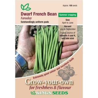 Kings Seeds Dwarf French Bean Faraday