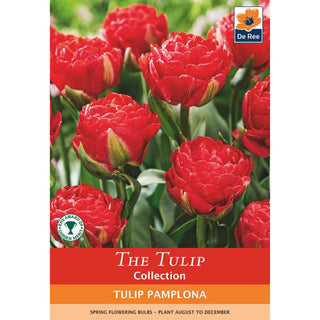 Tulip Pamplona (Double Early)
