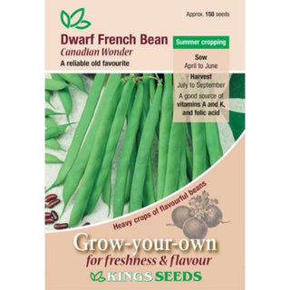 Kings Seeds Dwarf French Bean Canadian Wonder