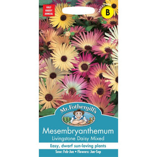 Mr Fothergills Mesembryanthe Mum Livingstone Daisy Mixed