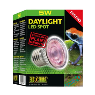 Exo Terra Daylight LED Spot 5w