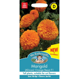 Mr Fothergills Marigold Orange Beast F1