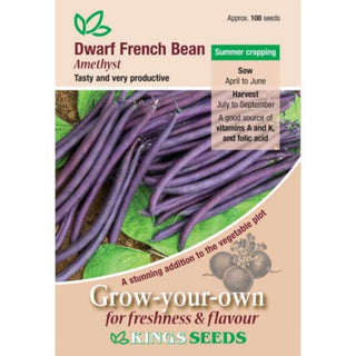 Kings Seeds Dwarf French Bean Amethyst