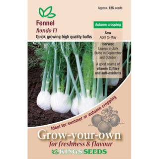 Kings Seeds Fennel Rondo F1