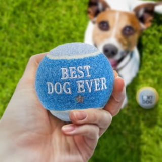 History & Heraldry Dog Ball
