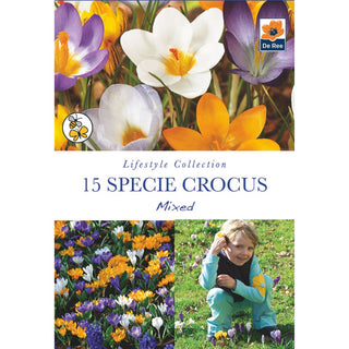 Specie Crocus Mixed