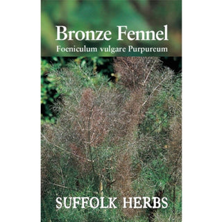 Suffolk Herbs Fennel Bronze