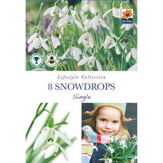 Snowdrops Single