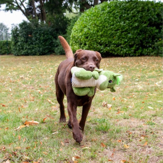 Cuddle Sprout the Dragon