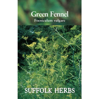 Suffolk Herbs Fennel Green
