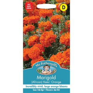 Mr Fothergills Marigold (african) Kees' Orange