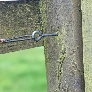 Zoar's Ark Screw In Vine Eyes