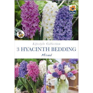 Hyacinth Bedding Mixed