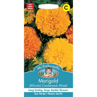 Mr Fothergills Marigold (african) Crackerjack Mixed
