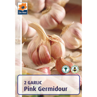 Garlic Pink Germidour