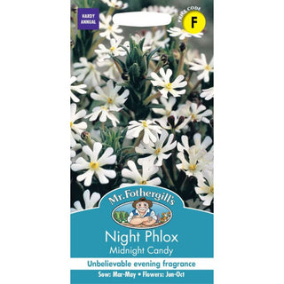 Mr Fothergills Night Phlox Midnight Candy