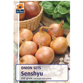 Senshyu Onions