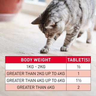Beaphar Worm Clear For Cats
