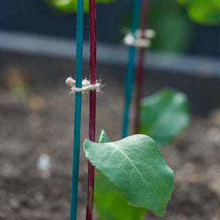 Smart Garden Plant Stix
