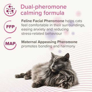 CatComfort® Excellence Calming Diffuser Starter Kit